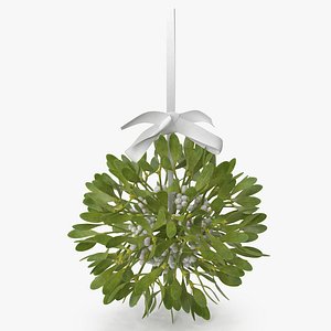 Mistletoe v 2 with White Bow 2 3D model