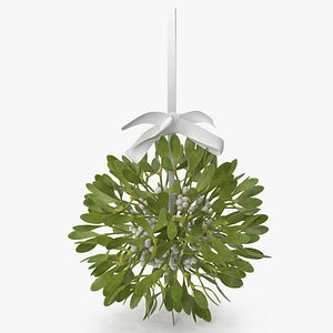 Mistletoe v 2 with White Bow 2