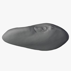 3D Red Flat Bean 02 - For 3D Print model