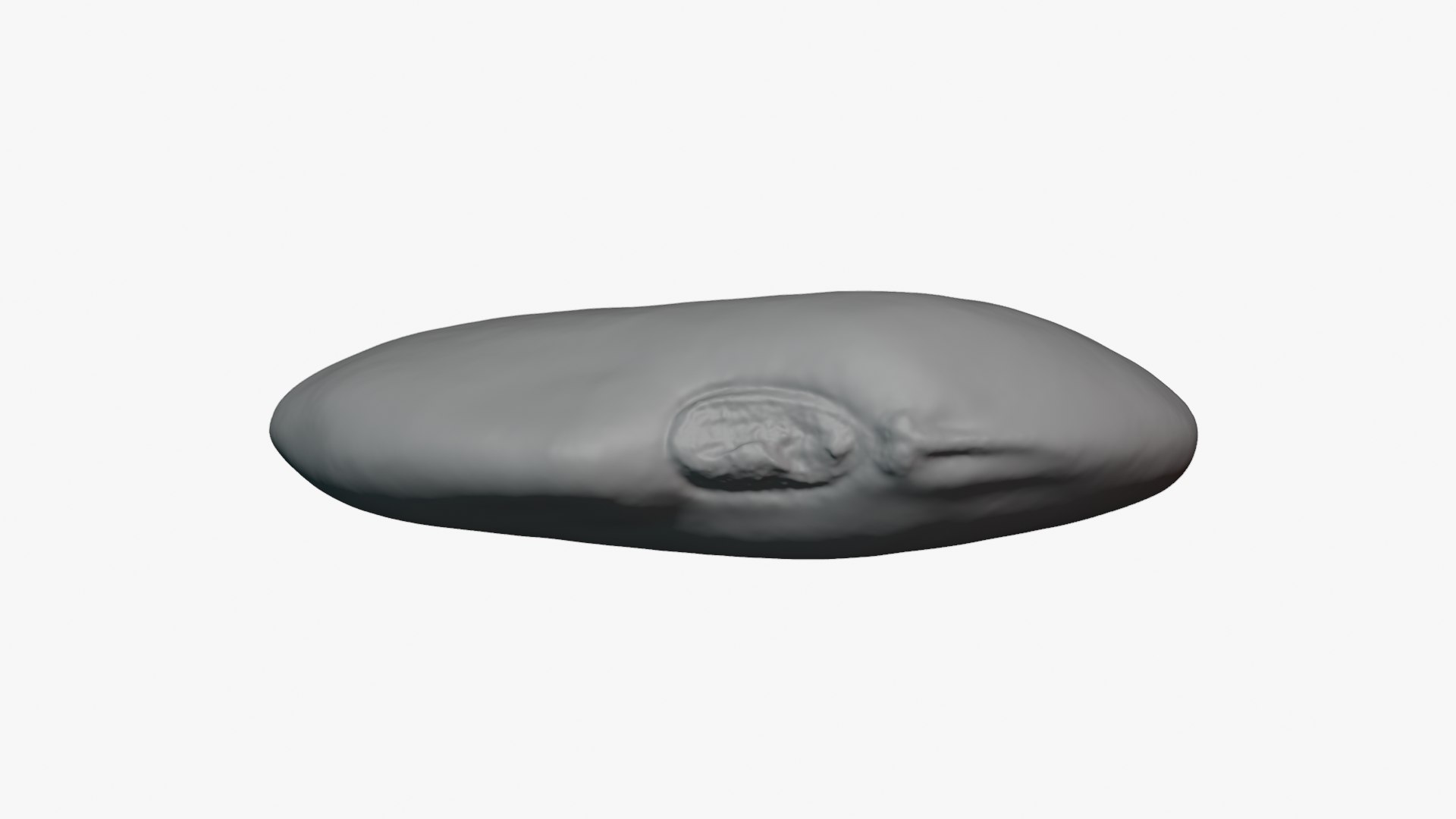 3D Red Flat Bean 02 - For 3D Print model https://p.turbosquid.com/ts-thumb/0W/Msk1LJ/NE/redbeanflat02_0003/png/1776678443/1920x1080/fit_q87/0000a2cbf375f3f4da131871ad6fdce22513be0b/redbeanflat02_0003.jpg