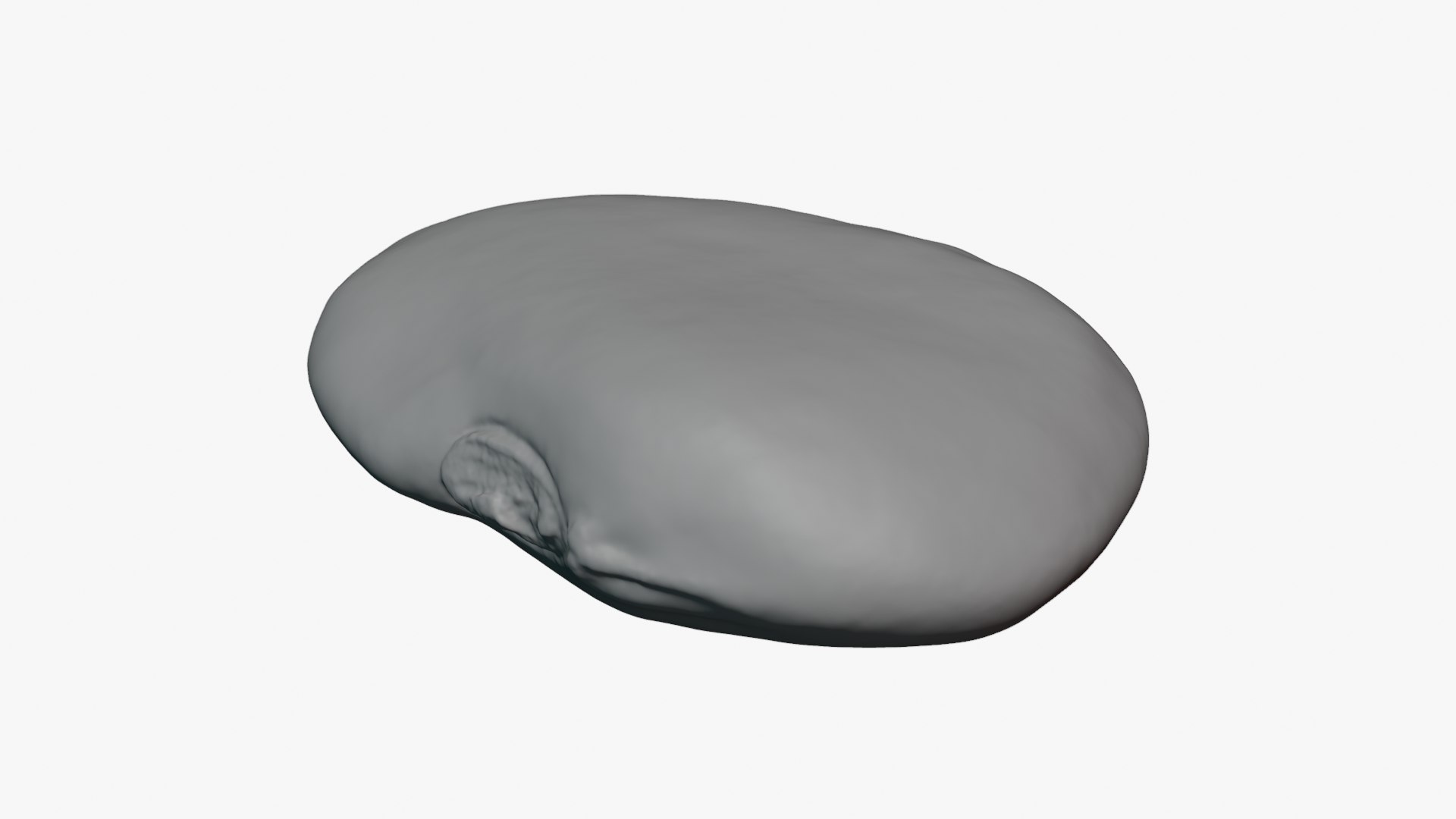 3D Red Flat Bean 02 - For 3D Print model https://p.turbosquid.com/ts-thumb/0W/Msk1LJ/OQ/redbeanflat02_0008/png/1776678467/1920x1080/fit_q87/368ff6eb2d5c60eb6a244ace8ce2eb551fc357cc/redbeanflat02_0008.jpg