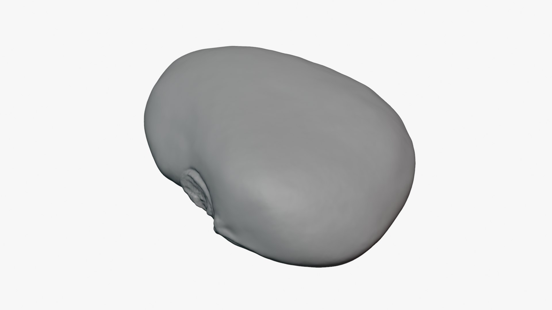 3D Red Flat Bean 02 - For 3D Print model https://p.turbosquid.com/ts-thumb/0W/Msk1LJ/XX/redbeanflat02_0012/png/1776678474/1920x1080/fit_q87/c8585cc37ca07c4ca4bdf20f3af1ef86831624e2/redbeanflat02_0012.jpg