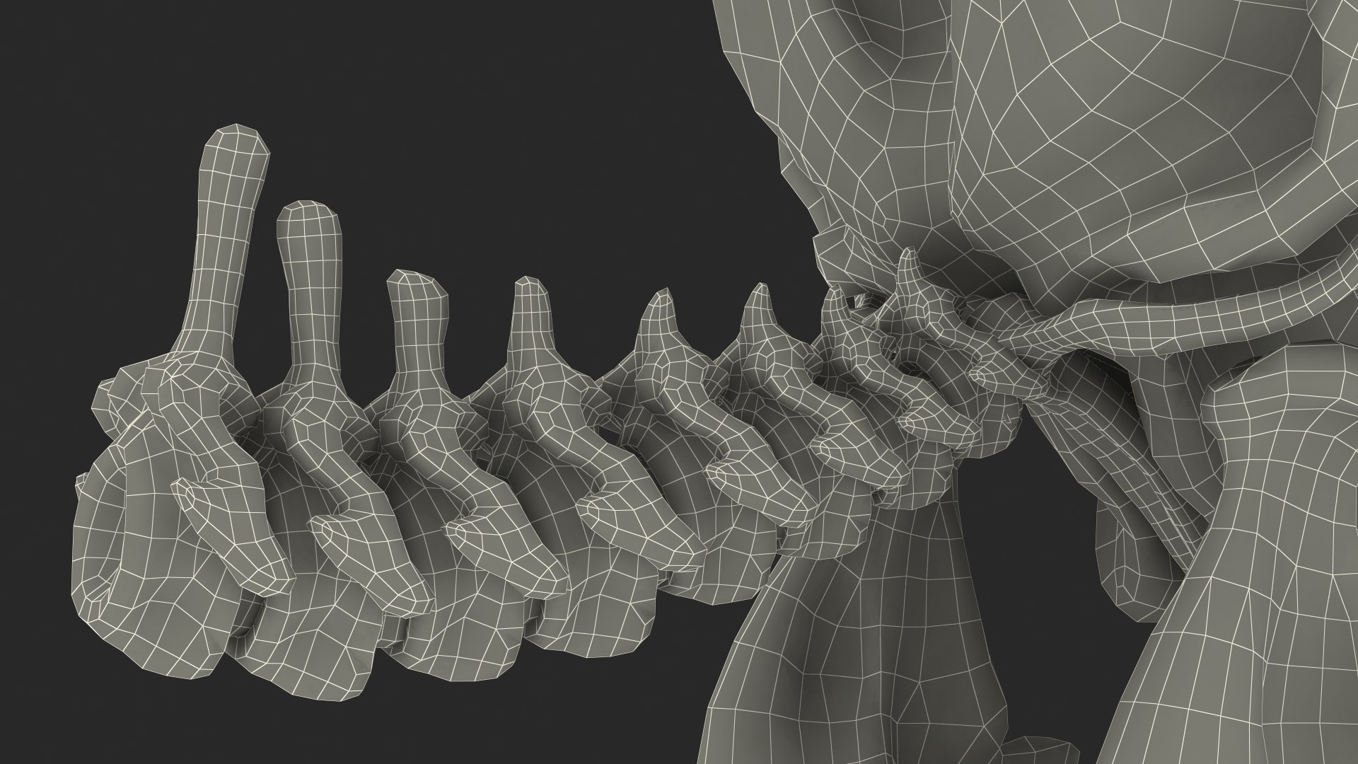 3D Mammoth Skull model https://p.turbosquid.com/ts-thumb/0W/QuUaLt/5L/mammothskullmb3dmodel025/jpg/1634089624/1920x1080/fit_q87/8ce4e5df0733cd79d249d5ef9db4d6b0f4d77908/mammothskullmb3dmodel025.jpg