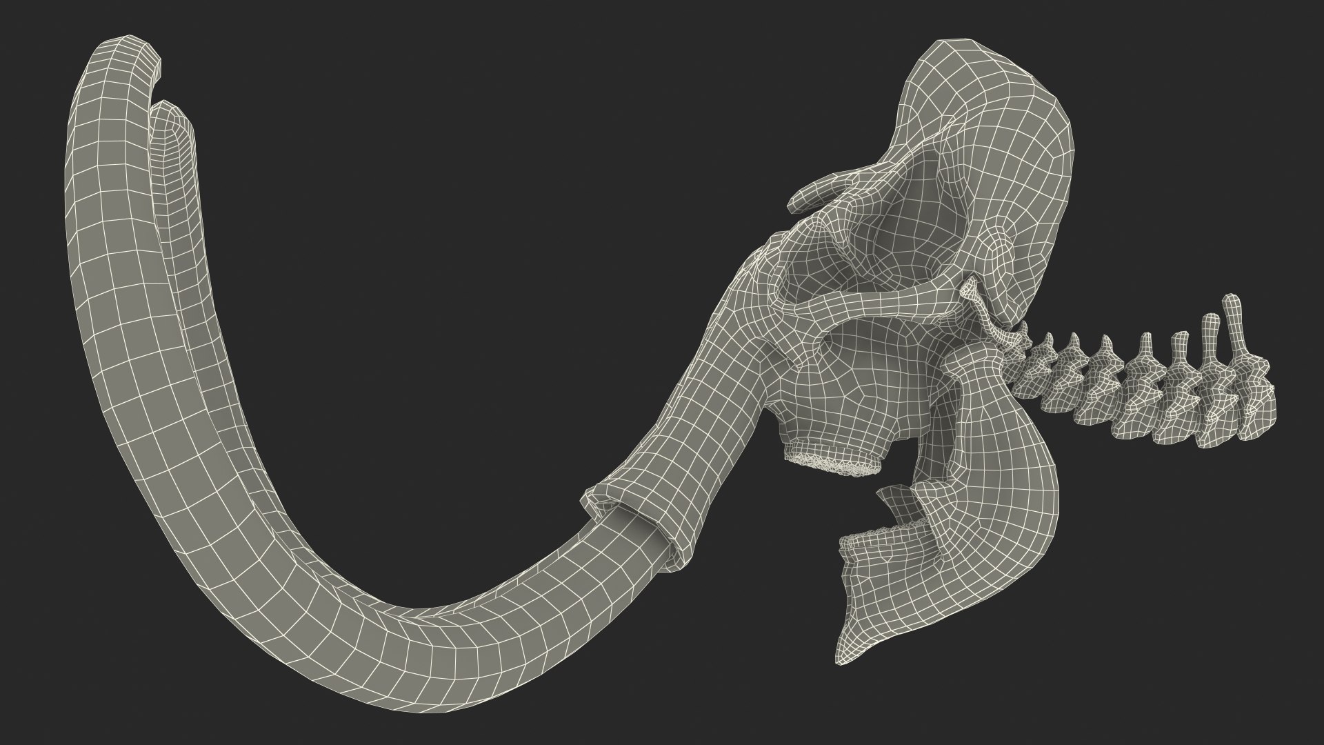 3D Mammoth Skull model https://p.turbosquid.com/ts-thumb/0W/QuUaLt/8I/mammothskullmb3dmodel032/jpg/1634089642/1920x1080/fit_q87/c14a7a781fe85cafddb376c853a4cbb60b379098/mammothskullmb3dmodel032.jpg