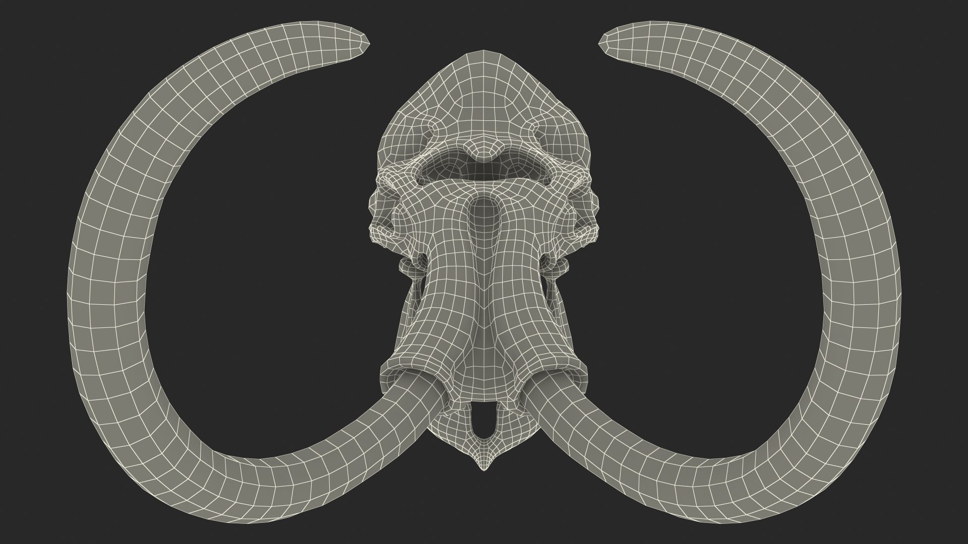 3D Mammoth Skull model https://p.turbosquid.com/ts-thumb/0W/QuUaLt/Vv/mammothskullmb3dmodel033/jpg/1634089645/1920x1080/fit_q87/069926bf024bf13421c9aac737fd14f6a0c6a069/mammothskullmb3dmodel033.jpg