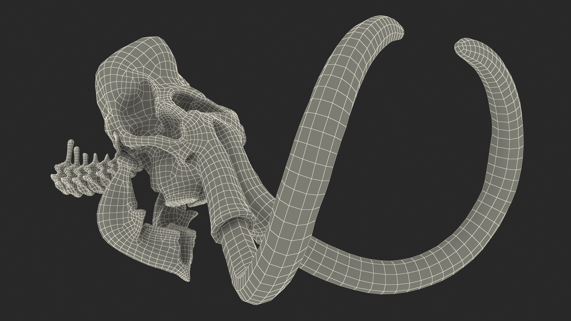 3D Mammoth Skull model https://p.turbosquid.com/ts-thumb/0W/QuUaLt/oO/mammothskullmb3dmodel030/jpg/1634089637/1920x1080/fit_q87/1c591fcbe0038ba03a8a959969e9bc9a5569fcbd/mammothskullmb3dmodel030.jpg