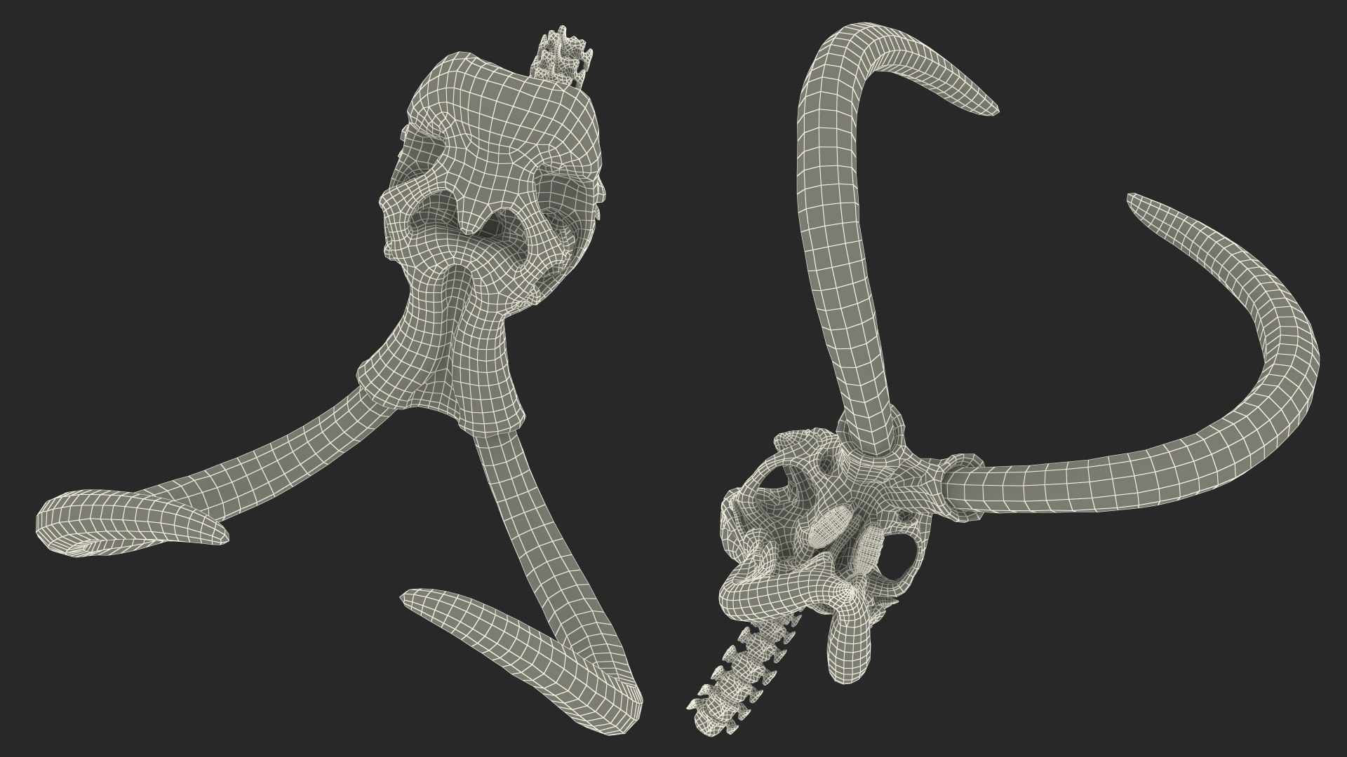 3D Mammoth Skull model https://p.turbosquid.com/ts-thumb/0W/QuUaLt/wS/mammothskullmb3dmodel027/jpg/1634089630/1920x1080/fit_q87/7b7d352eca40f9ff6dbccf675ed52bdff4394df5/mammothskullmb3dmodel027.jpg