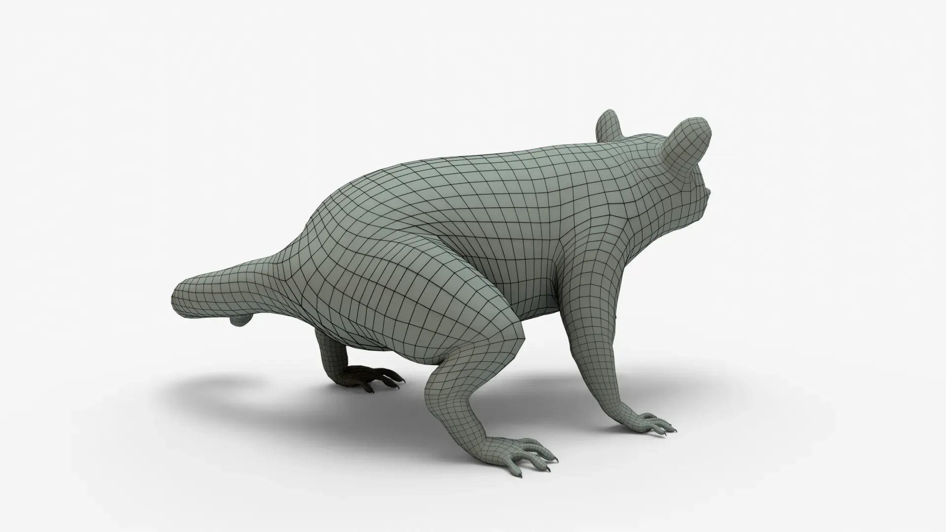 Raccoon Rigged Basemesh 3D https://p.turbosquid.com/ts-thumb/0W/TCZngi/Ii/raccoon3dmodel_16/jpg/1710638241/1920x1080/fit_q87/c5aeaccd0566cd875065c9e60b302bc59daaa1de/raccoon3dmodel_16.jpg