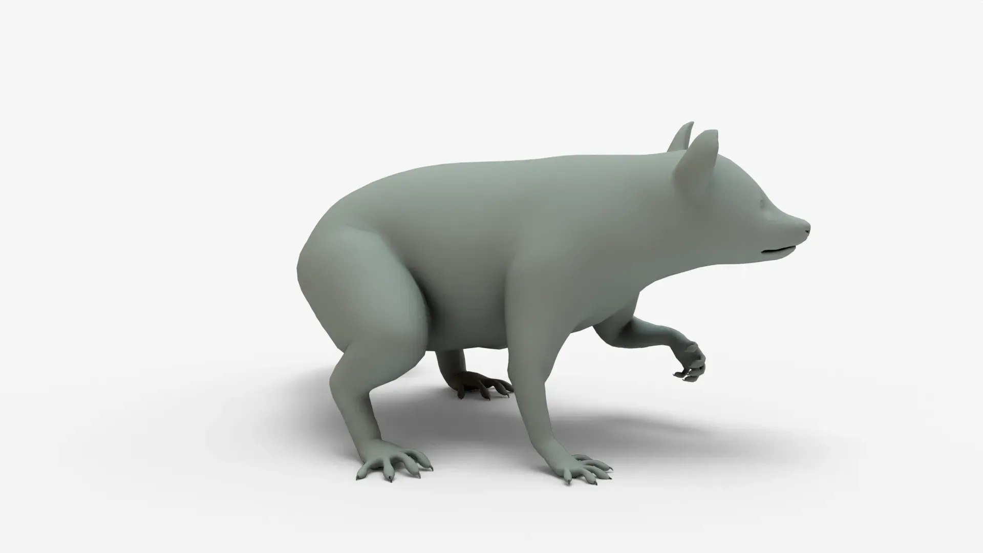 Raccoon Rigged Basemesh 3D https://p.turbosquid.com/ts-thumb/0W/TCZngi/p0/raccoon3dmodel_5/jpg/1710638233/1920x1080/fit_q87/4aef3fedbaa98c65a6b6efb4ab5d46ca9a2d7324/raccoon3dmodel_5.jpg
