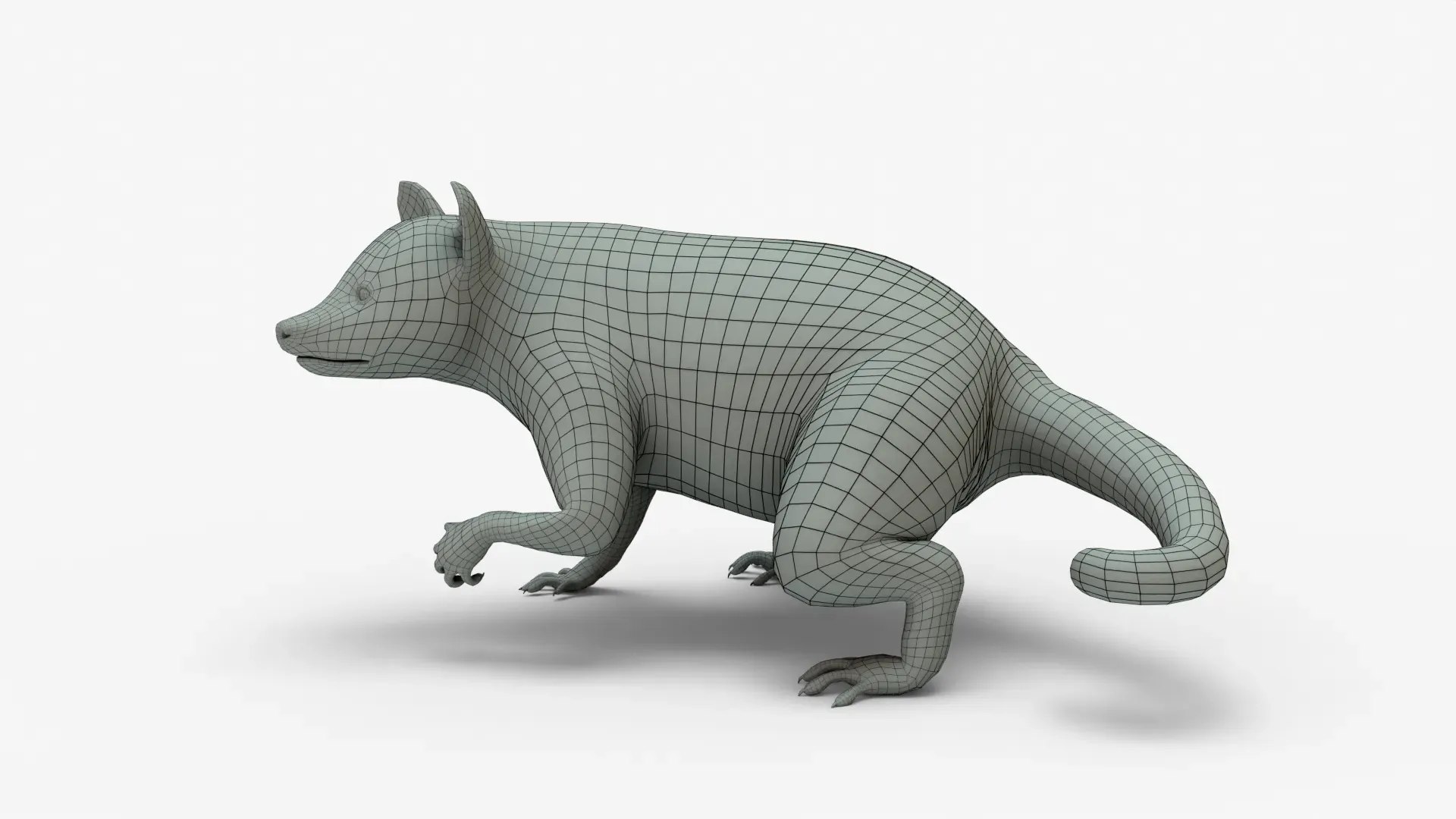 Raccoon Rigged Basemesh 3D https://p.turbosquid.com/ts-thumb/0W/TCZngi/qn/raccoon3dmodel_15/jpg/1710638240/1920x1080/fit_q87/3cd3601e2bb7e3b1f2c6b07d4bd1196abadf4569/raccoon3dmodel_15.jpg