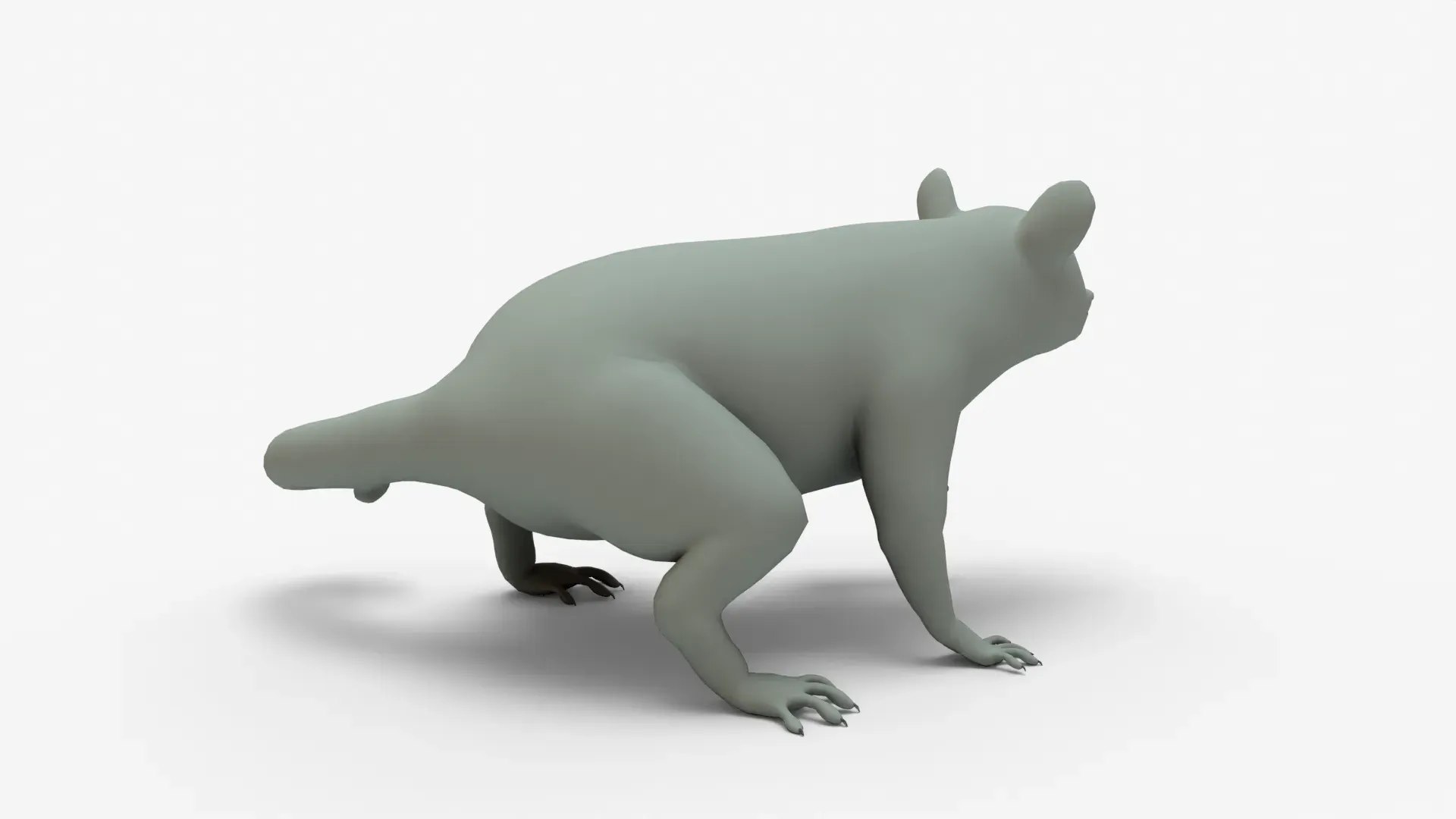 Raccoon Rigged Basemesh 3D https://p.turbosquid.com/ts-thumb/0W/TCZngi/un/raccoon3dmodel_4/jpg/1710638232/1920x1080/fit_q87/19be402b425d611569e2e5e0109855c2c2521b13/raccoon3dmodel_4.jpg