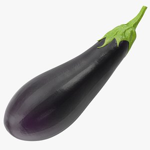 Dark Purple Eggplant model