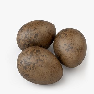 Natural Avian Eggs with Speckled Shell model