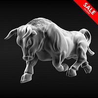 Bull Running