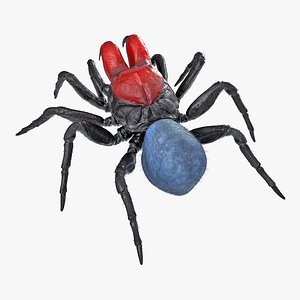 Mouse Spider Rigged with Fur