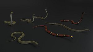 Snake Rigged and Animated 3D model