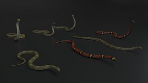 Snake Rigged and Animated
