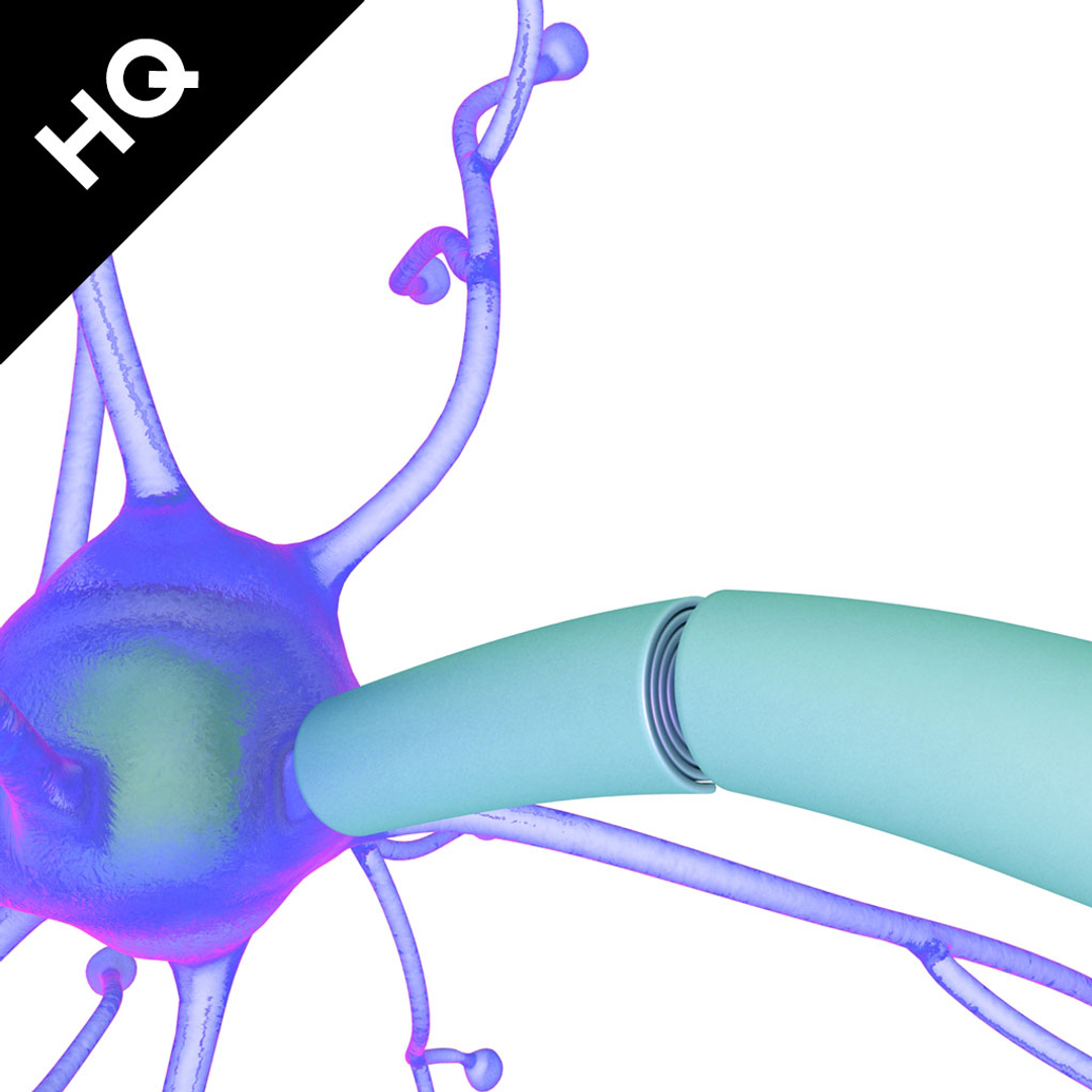3d model neuron