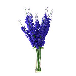 3D model delphinium blue