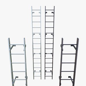 Steel wall mount ladder