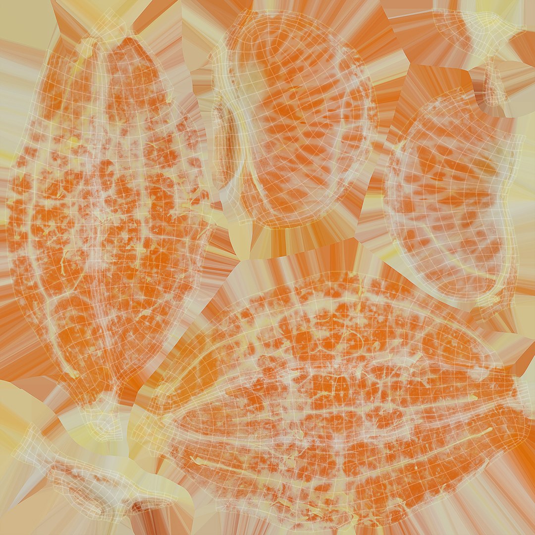 3D peeled mandarin https://p.turbosquid.com/ts-thumb/0X/5r6DgC/Tn/37/jpg/1615971897/1920x1080/fit_q87/5f4335cfe29bc676d1d3f90545bc97974742287b/37.jpg