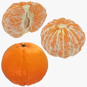 mandarin peeled 3D model
