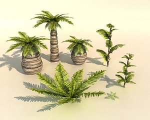3D plant tropik palm