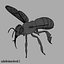 Honeybee (RIGGED AND ANIMATED)