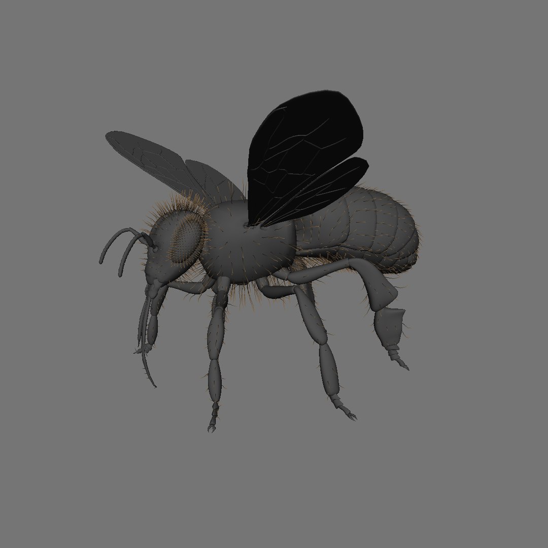 3d model of honey bee rigged animating https://p.turbosquid.com/ts-thumb/0X/OJpYrl/ErLgN6Uv/fur_display/jpg/1392233609/1920x1080/fit_q87/b80cc406998b68ae558a422019a5d46a7b035cc7/fur_display.jpg