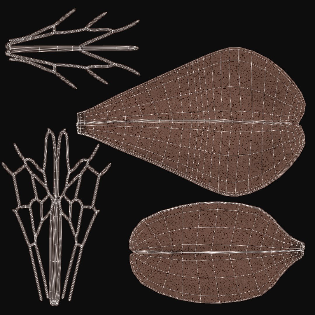 3d model of honey bee rigged animating https://p.turbosquid.com/ts-thumb/0X/OJpYrl/EyXFhjdU/wings_uv/jpg/1392233610/1920x1080/fit_q87/4d34abccaf627e9075e0da83197e0b8cb6c9387e/wings_uv.jpg