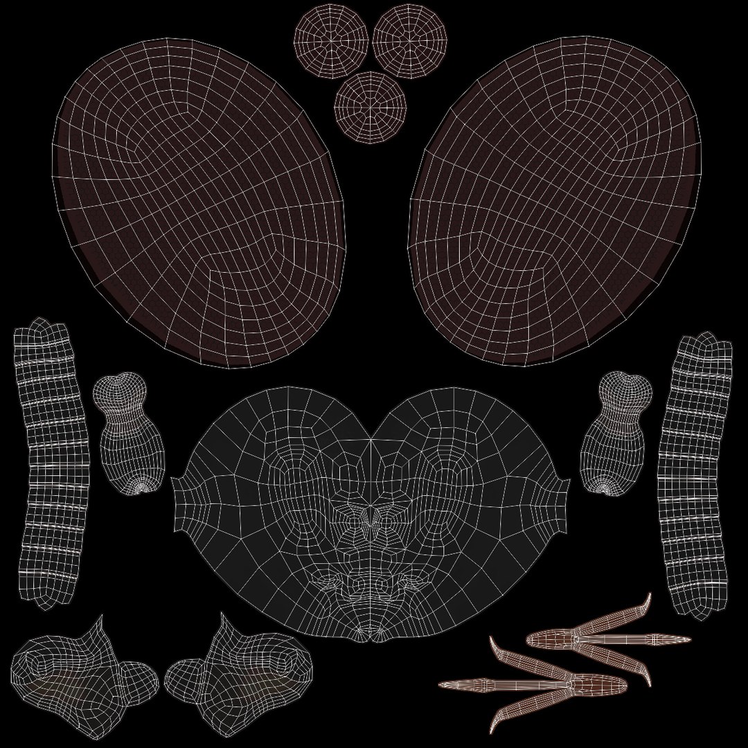 3d model of honey bee rigged animating https://p.turbosquid.com/ts-thumb/0X/OJpYrl/ceTnFzvL/head_uv/jpg/1392233609/1920x1080/fit_q87/68dd208a67eb33577be676c65dc8e7c4472ee47b/head_uv.jpg