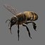 Honeybee (RIGGED AND ANIMATED)