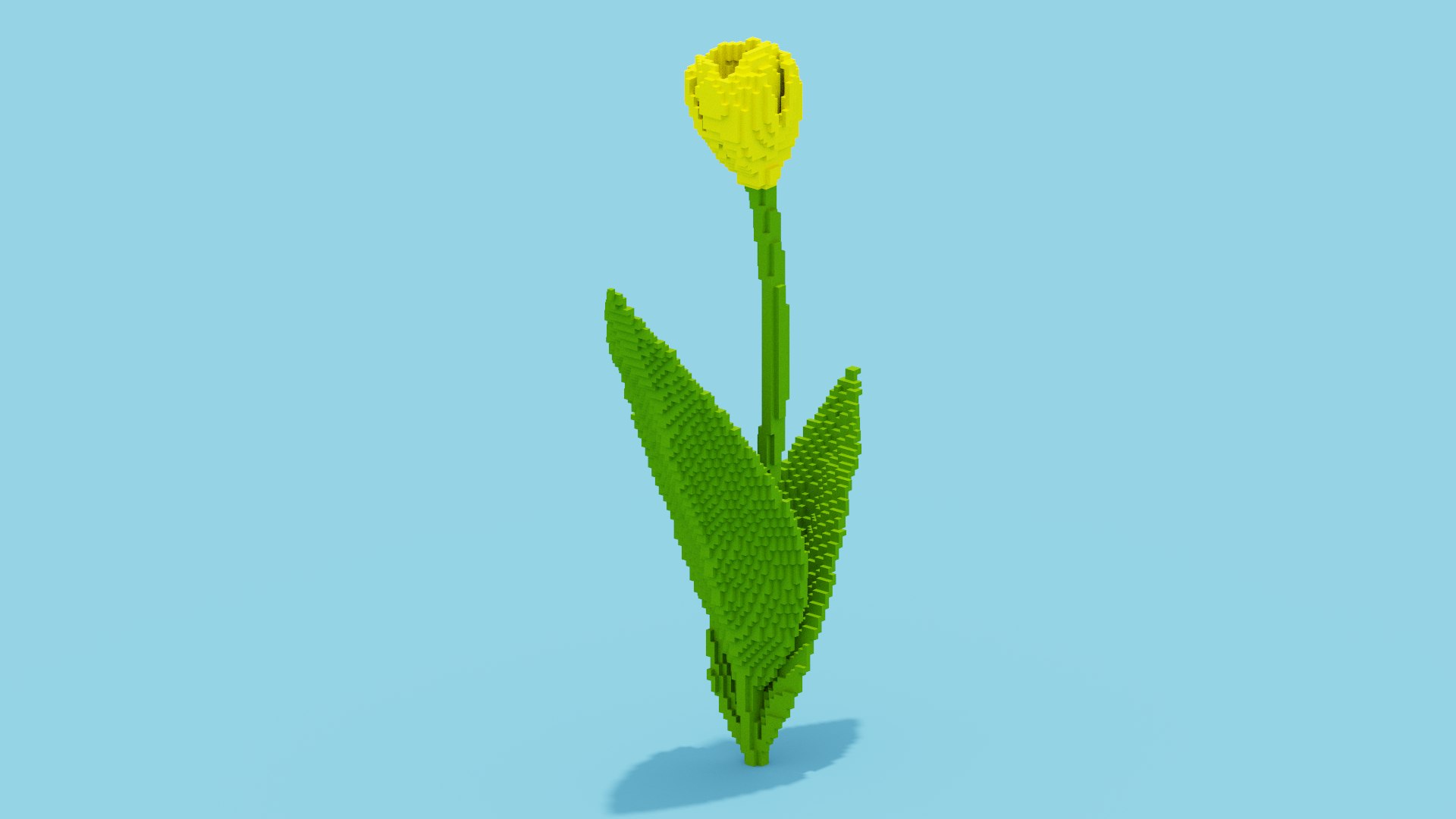 Tulip Voxel 3d icon model https://p.turbosquid.com/ts-thumb/0X/ZkuFBl/BI/spin202404112117350006/png/1712866570/1920x1080/fit_q87/26423415392e96a6d004c21f66000a7e5cad72b9/spin202404112117350006.jpg