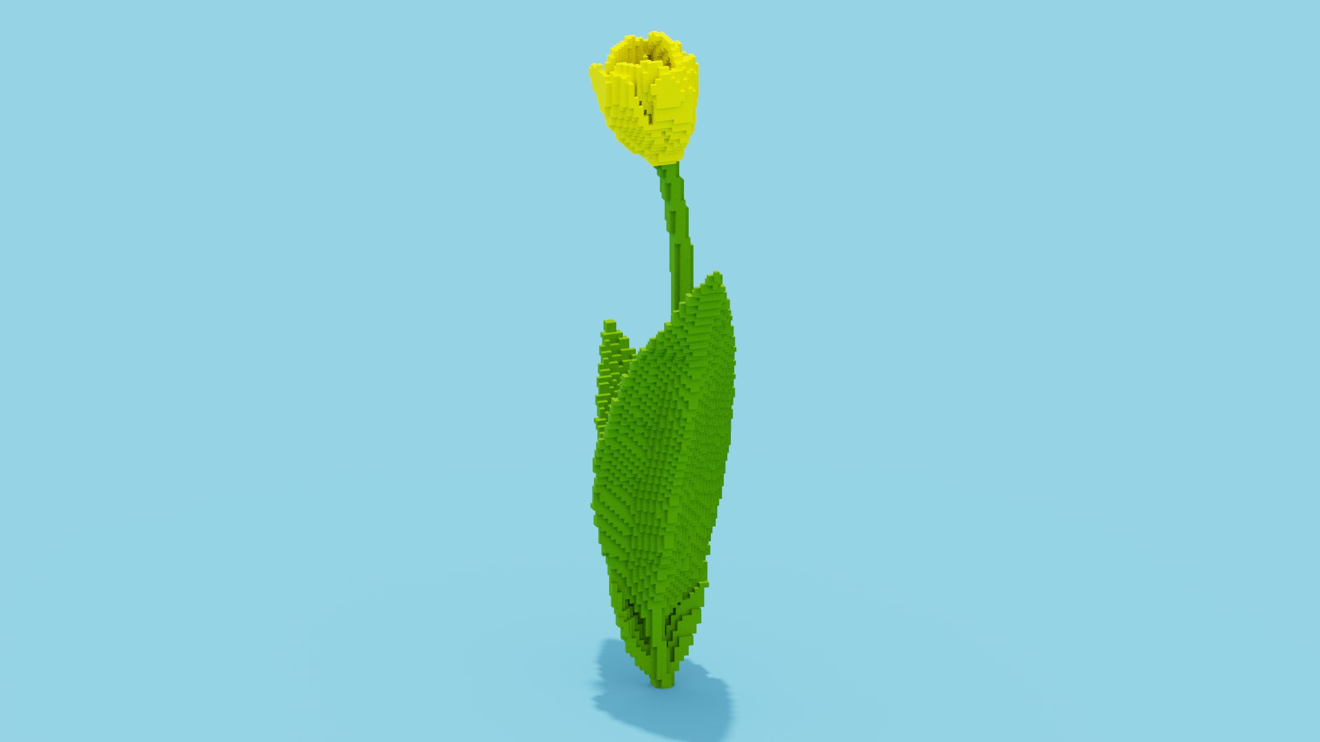 Tulip Voxel 3d icon model https://p.turbosquid.com/ts-thumb/0X/ZkuFBl/KW/spin202404112117350004/png/1712866572/1920x1080/fit_q87/a2d8fcbc8411b3d95ad3c1ddf229a85803d05e89/spin202404112117350004.jpg