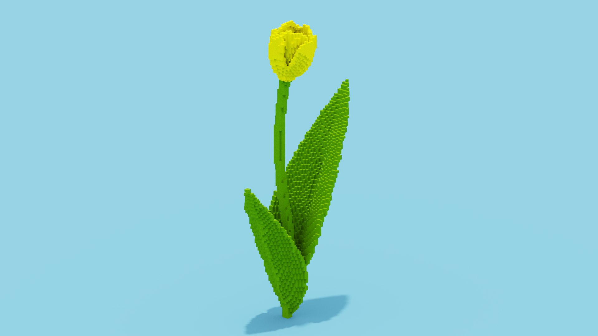 Tulip Voxel 3d icon model https://p.turbosquid.com/ts-thumb/0X/ZkuFBl/Wk/spin202404112117350000/png/1712866566/1920x1080/fit_q87/d691d1d2a0b4fea3d725cf78676db72d8b609bda/spin202404112117350000.jpg