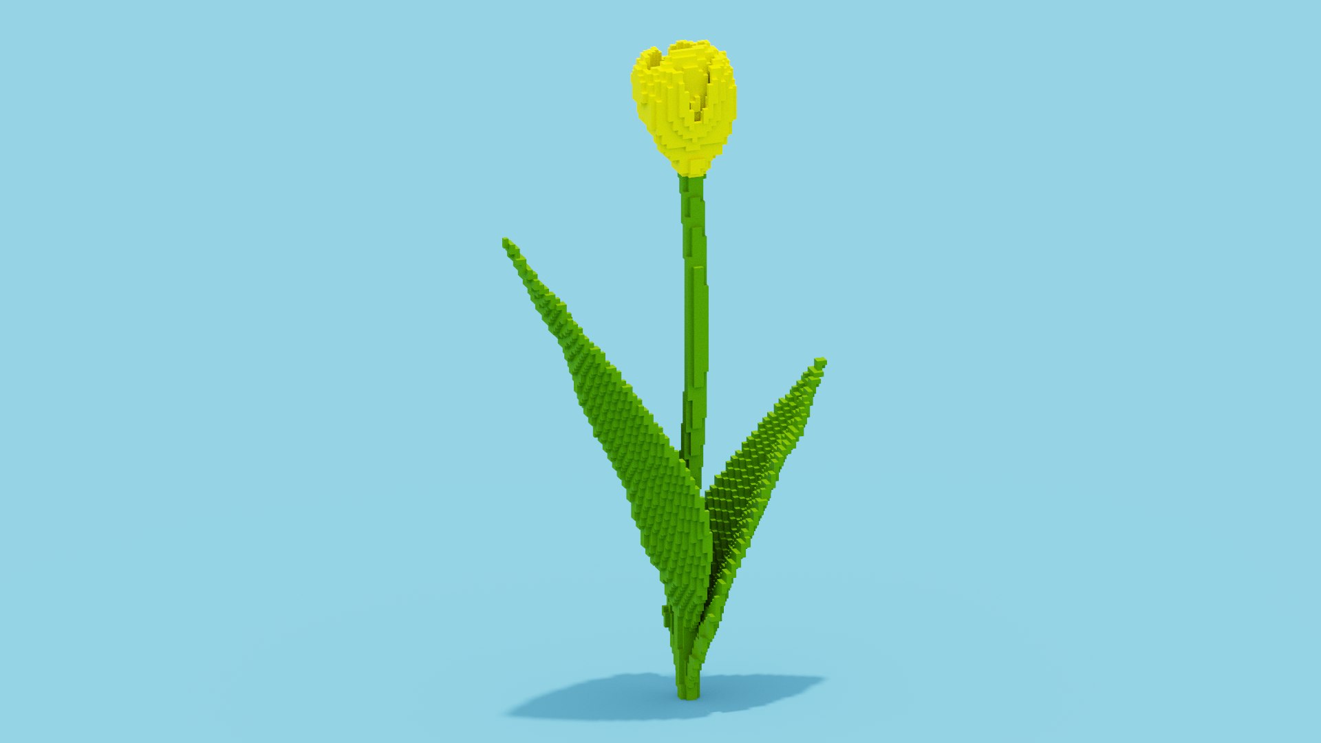 Tulip Voxel 3d icon model https://p.turbosquid.com/ts-thumb/0X/ZkuFBl/uH/spin202404112117350007/png/1712866572/1920x1080/fit_q87/ed714b0cdd5196f4d1595d1308acfadc9392462d/spin202404112117350007.jpg