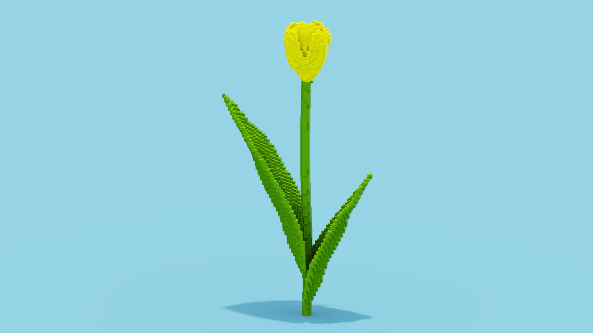 Tulip Voxel 3d icon model https://p.turbosquid.com/ts-thumb/0X/ZkuFBl/yz/spin202404112117350008/png/1712866574/1920x1080/fit_q87/1e2b2cbcdcbe585fa471d212f3ef4588ebc902f7/spin202404112117350008.jpg