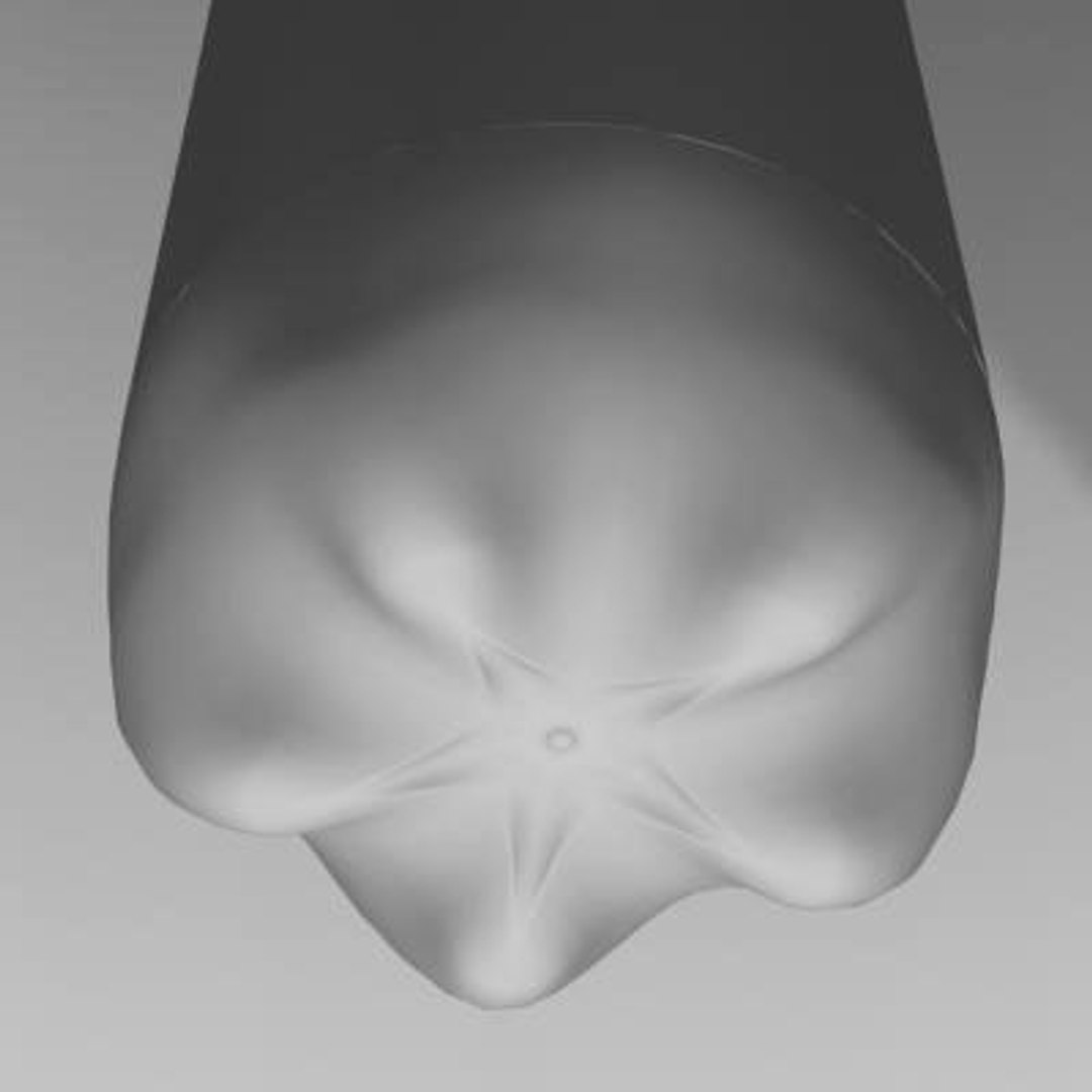 3d plastic drinks bottle https://p.turbosquid.com/ts-thumb/0X/btCkKb/uXGmI47n/tsbottlepl08/jpg/1063279634/1920x1080/fit_q87/370ae0e06fb3897dd80ac1f71e8f8986704c6390/tsbottlepl08.jpg