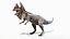 3D dilophosaurus model