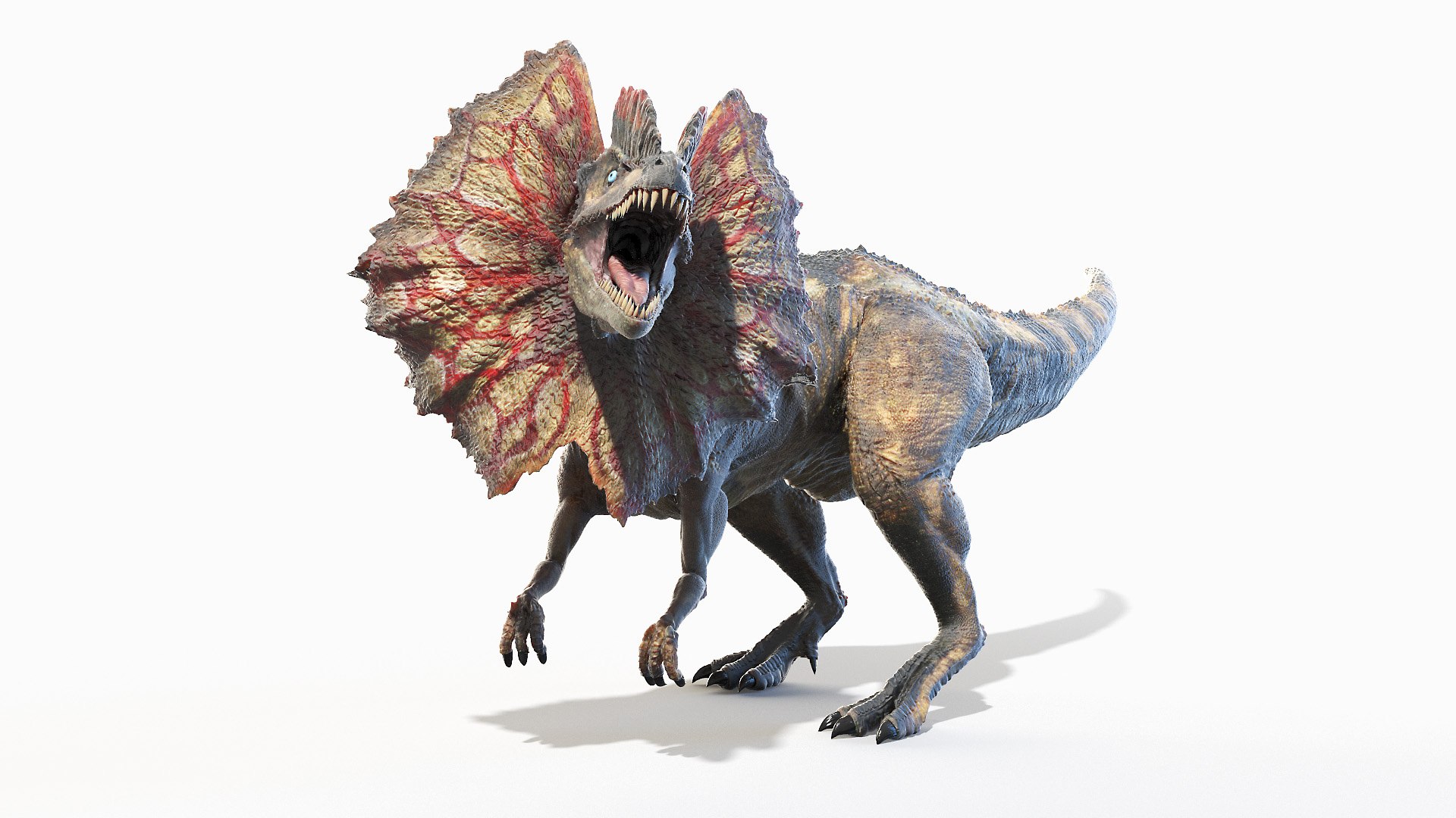 3D dilophosaurus model https://p.turbosquid.com/ts-thumb/0X/csMlMD/cBDIlwRG/dilophosaurus_animated_poses0065/jpg/1605022752/1920x1080/fit_q87/8579331dd2d30a787c18772a3b74210425ab512c/dilophosaurus_animated_poses0065.jpg