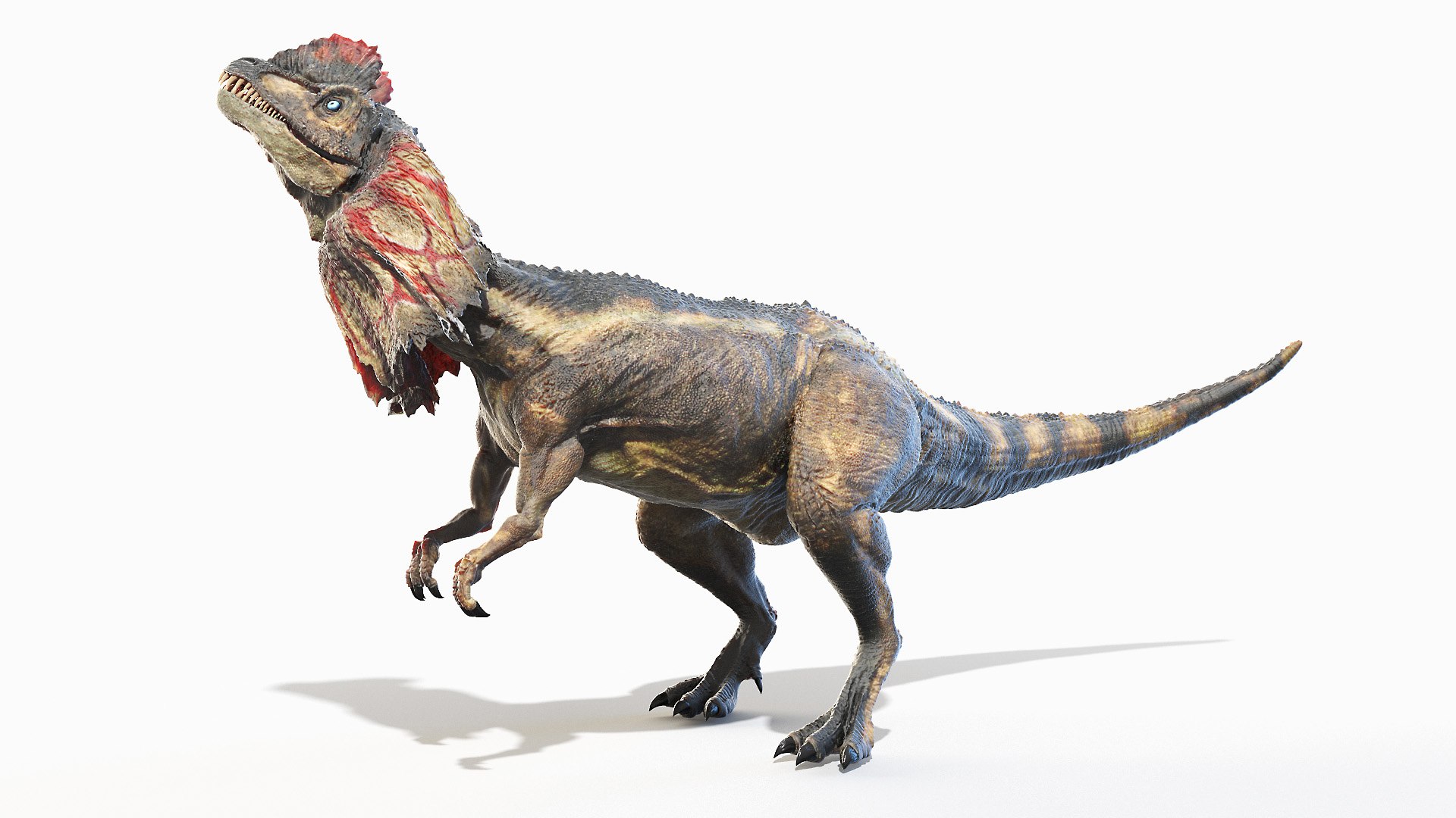 3D Dilophosaurus Model - TurboSquid 1647438