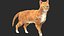 Yellow Cat Fur Rigged 3D model