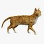 Yellow Cat Fur Rigged 3D model