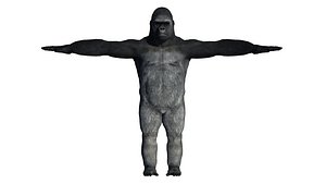 Gorilla - Game Ready - Rigged Blenshapes