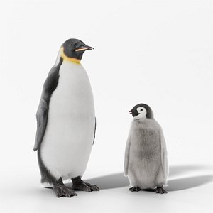 3D Emperor Penguin and Chick Rigged Blender