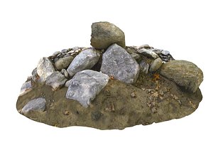 forest ground rock 16k 3D model