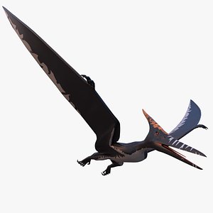 pteranodon longiceps 3D model