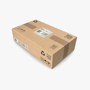 3D Cargo Box model