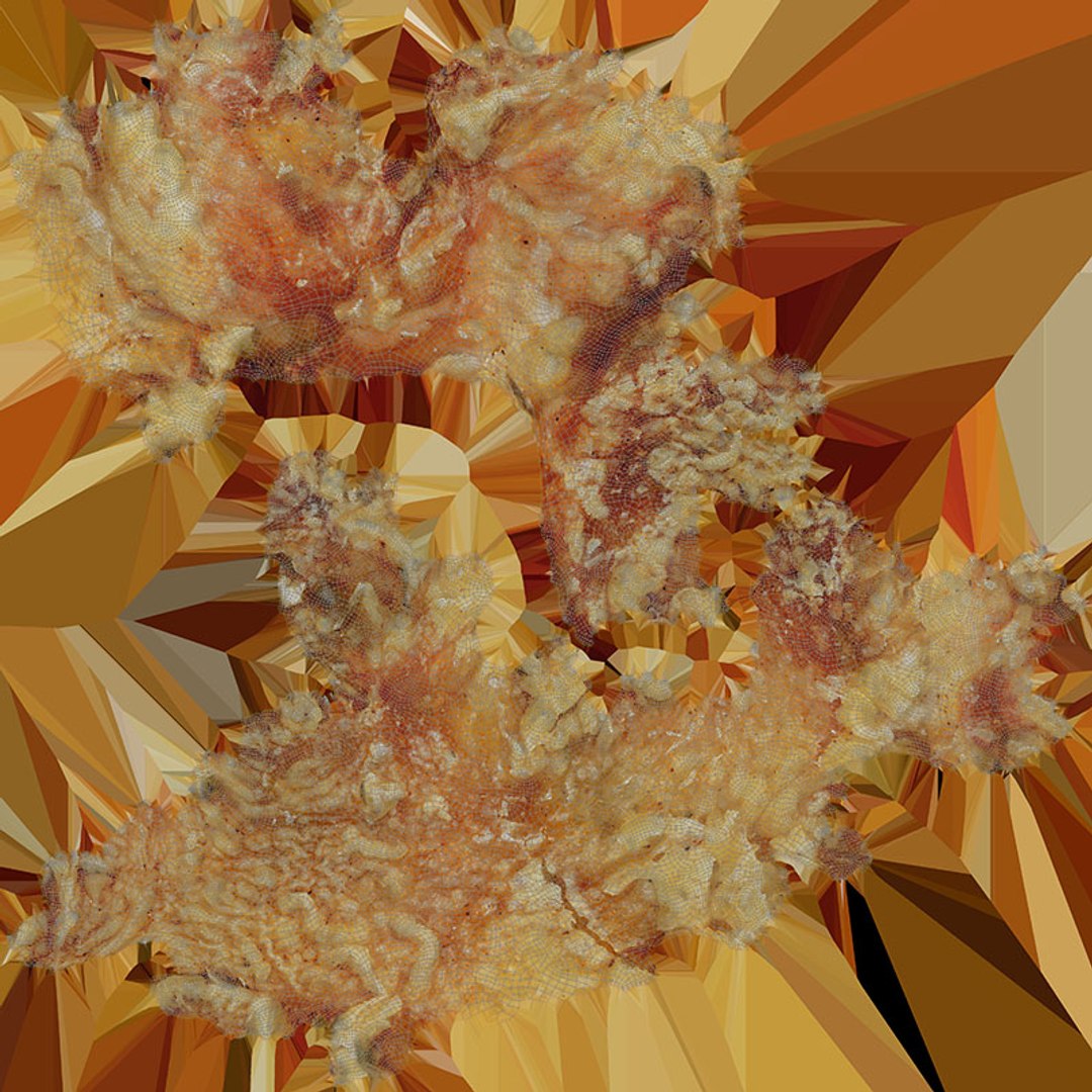 3D Fried Chicken Leg model https://p.turbosquid.com/ts-thumb/0Y/SmqkOR/lA/friedchickenleg_d0004/jpg/1728313405/1920x1080/fit_q87/5a916aa4ed3b7b861ab1206075afa751bf9f20d8/friedchickenleg_d0004.jpg