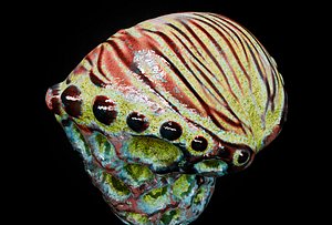 Alien Fungi Fruit Item Spooky PBR High Quality Plant Props